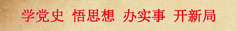 学党史 悟思想 办实事 开新局