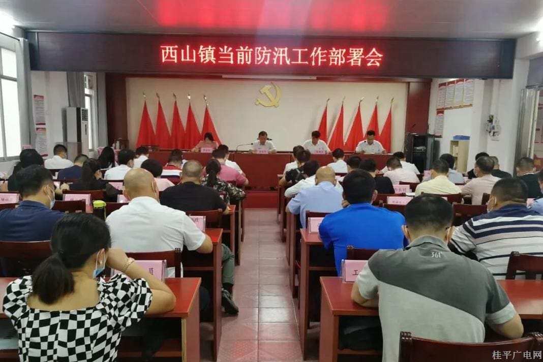 桂平市西山镇：防汛中 人大代表们一线守护家园