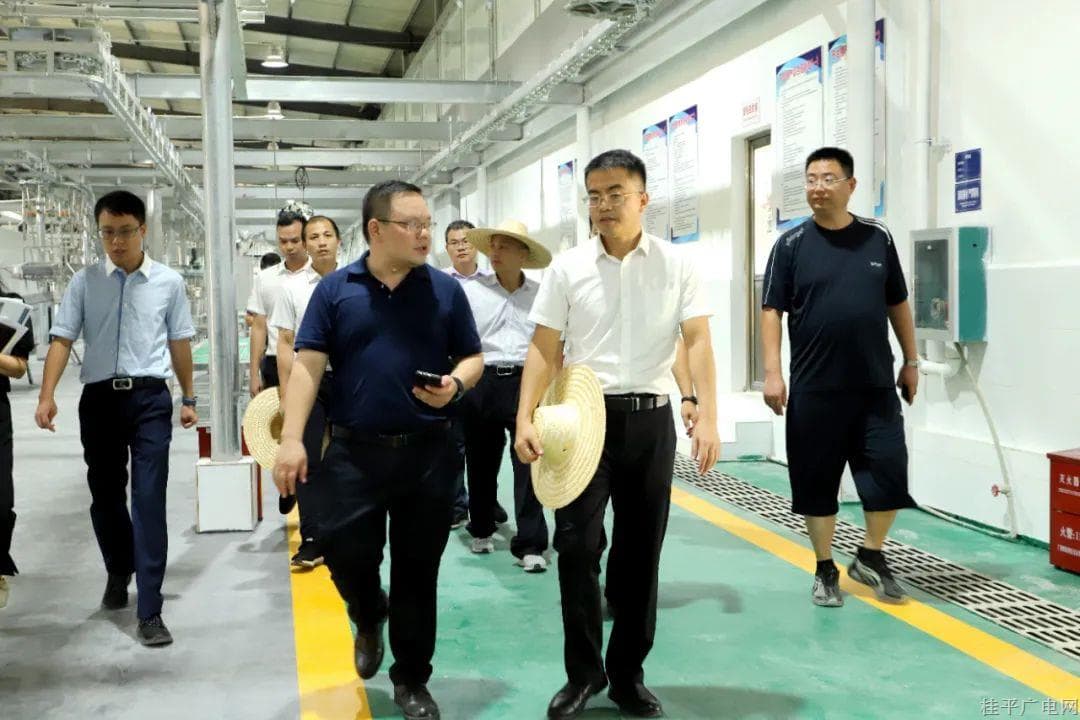 自治区乡村振兴局党组成员、总经济师刘康到桂平市屠宰冷链一体化项目调研